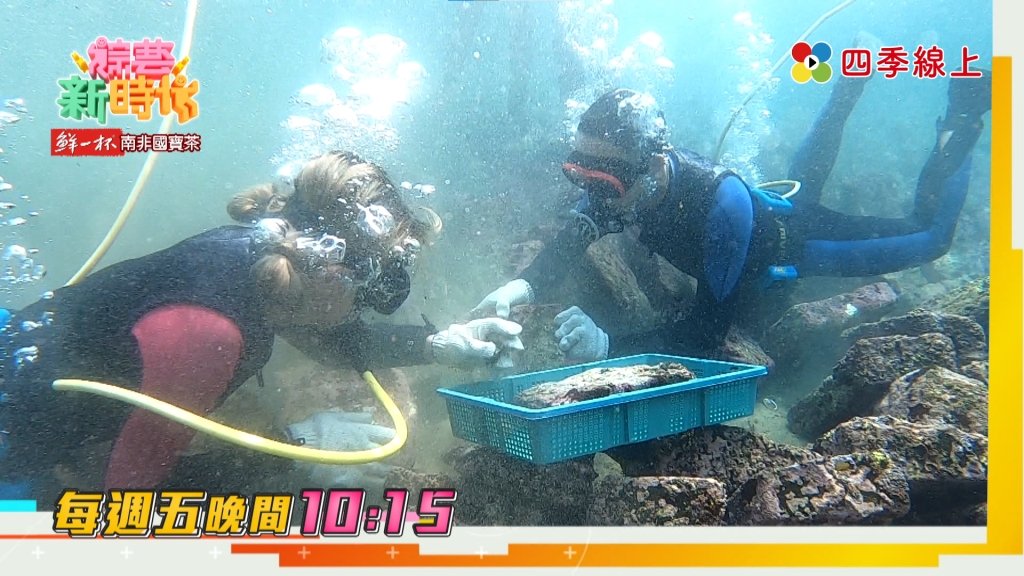 《綜藝新時代》潛水前還要做心理準備　阿翔緊張喊說：這個我沒含過啊
