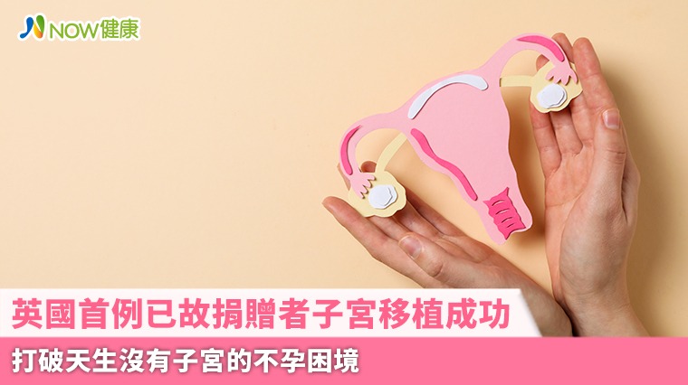 英國首例已故捐贈者子宮移植成功 打破天生沒有子宮的不孕困境