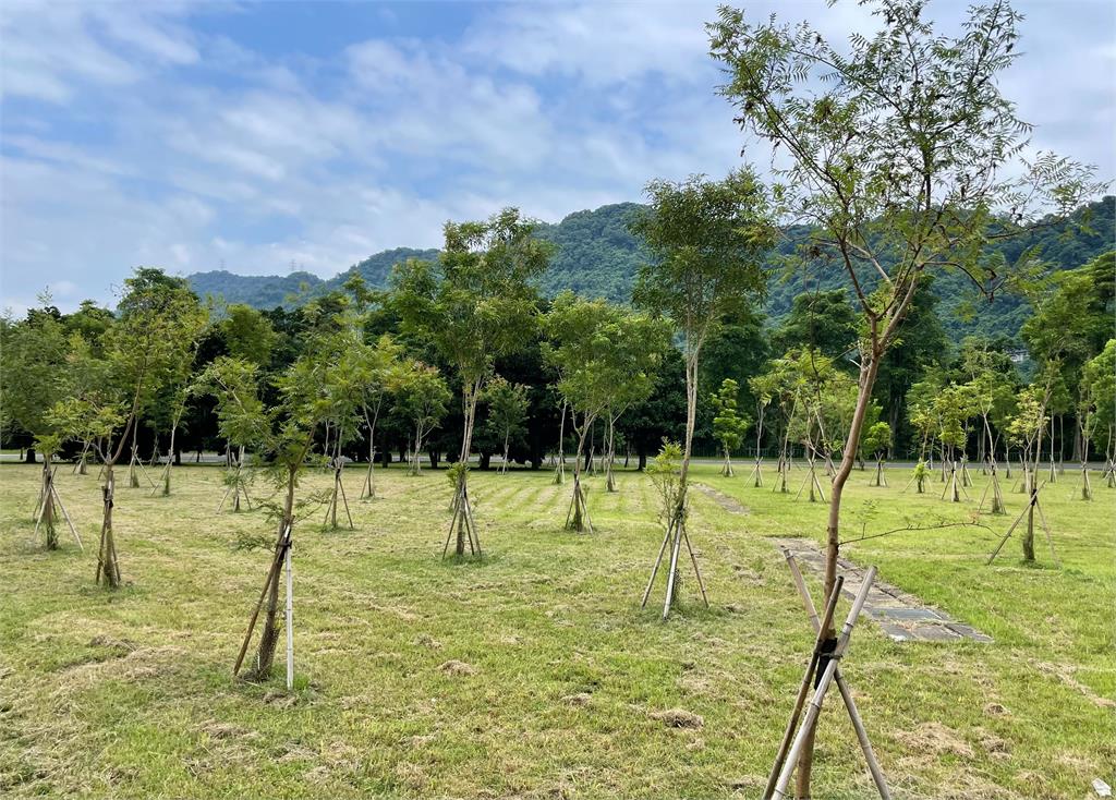 石門水庫北苑園區植樹自然碳匯註冊 獲環境部審查通過