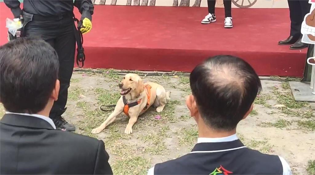 快新聞／中市警攜手最高檢反詐！　全台首隻「兩棲型警犬」現身秀技萌翻眾人