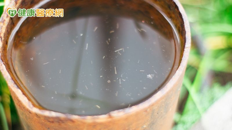 豪雨淹水急著清理！疾管署授「防疫3步驟」遠離傳染病