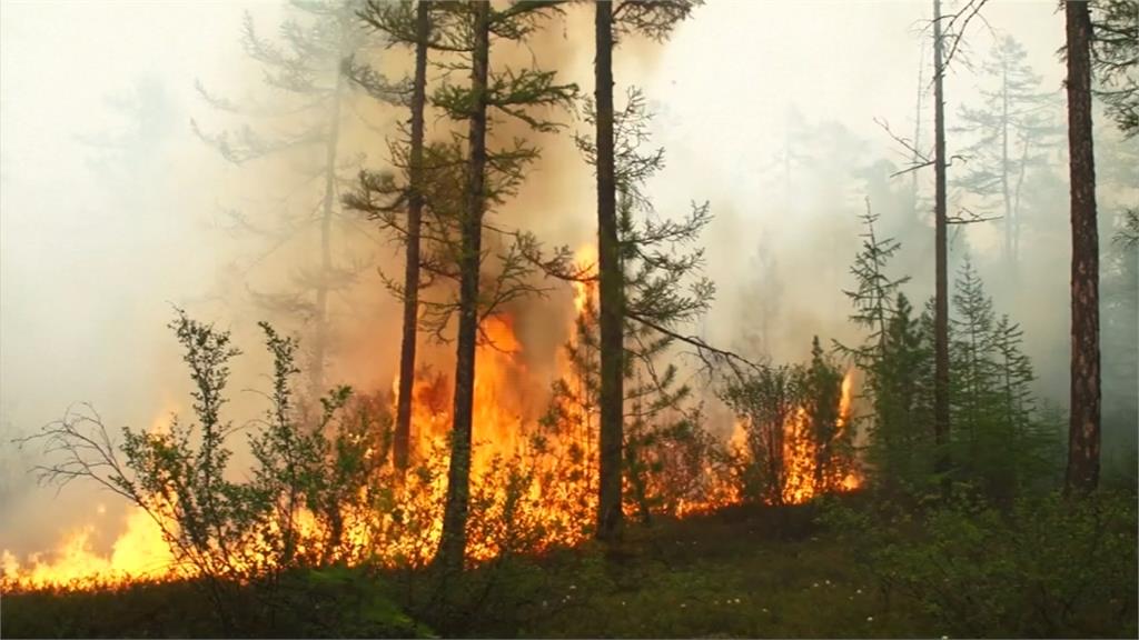 森林野火肆虐！燒毀西伯利亞逾230萬頃土地