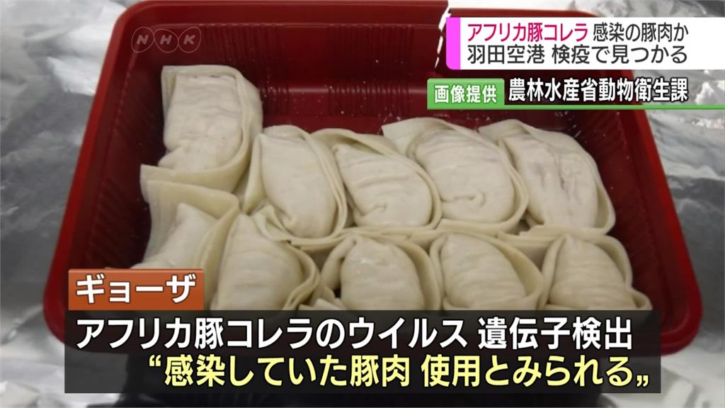 中國遊客帶餃子赴日 檢驗出非洲豬瘟病毒