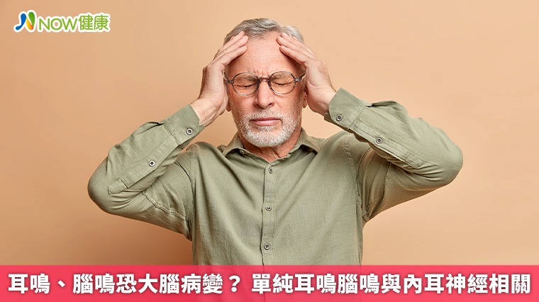 耳鳴、腦鳴恐大腦病變? 單純耳鳴腦鳴與內耳神經相關
