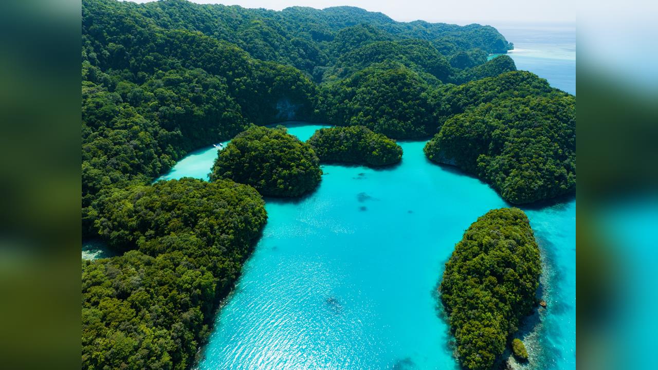 無視中國施壓威嚇　帛琉一心推動與台友好外交