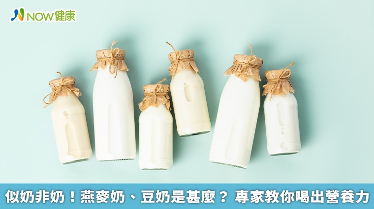 似奶非奶!燕麥奶、豆奶是甚麼?專家教你喝出營養力