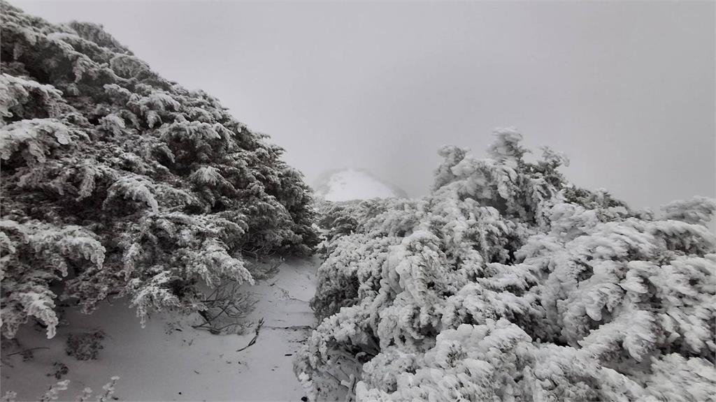 【圖多】銀白美景曝！　玉山「零下2.6度」降3月雪
