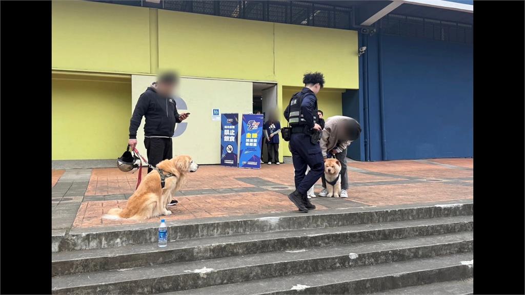板橋上演鬆獅黃金獵犬大戰！　飼主急拉開被咬傷氣炸將提告