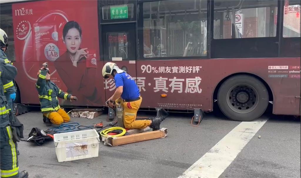 北市公車追撞害過馬路婦人身亡　肇事司機竟稱：已經失憶了
