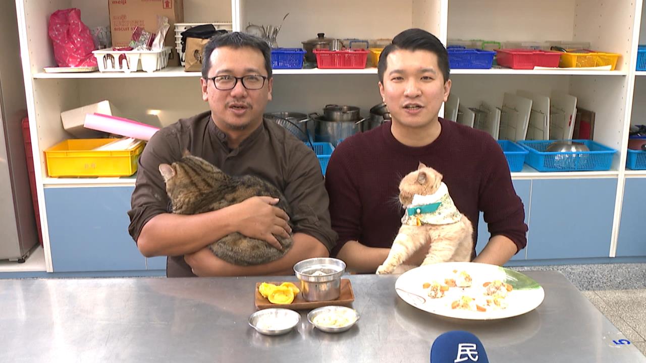 「貓咪年菜」和喵星人一起過年 新北議員林秉宥、李宇翔PK寵物年菜
