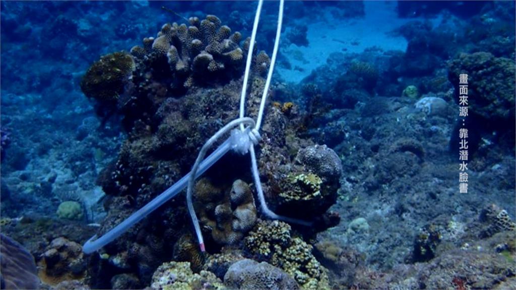小琉球珊瑚礁遭「打樁」 網撻伐：素質低劣