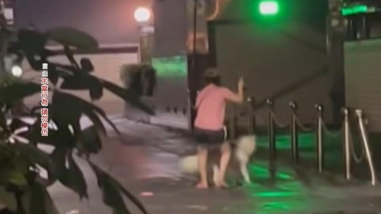天母疑飼主虐狗！　女子遛狗到一半突拿「鍊繩抽打」