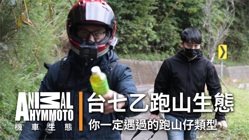 車手直擊「山道猴子」台七乙生態圈　網笑：原來一年前就有紀錄片