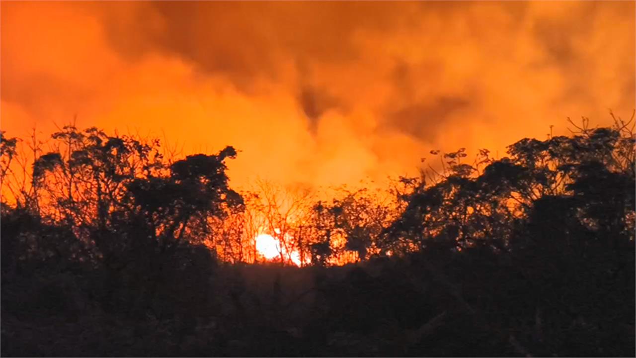 快新聞/台東知本溼地大火「5公頃燃燒中」 染紅夜空驚悚畫面曝