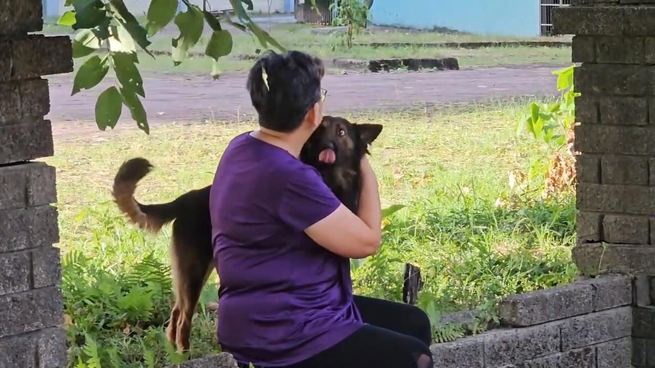 基隆暖暖公托外流浪犬「愛追車」　家長、老師都被追危害安全