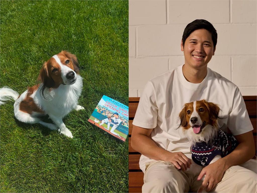 MLB／大谷翔平「三刀流」！斜槓作家出童書愛犬Decoy成主角