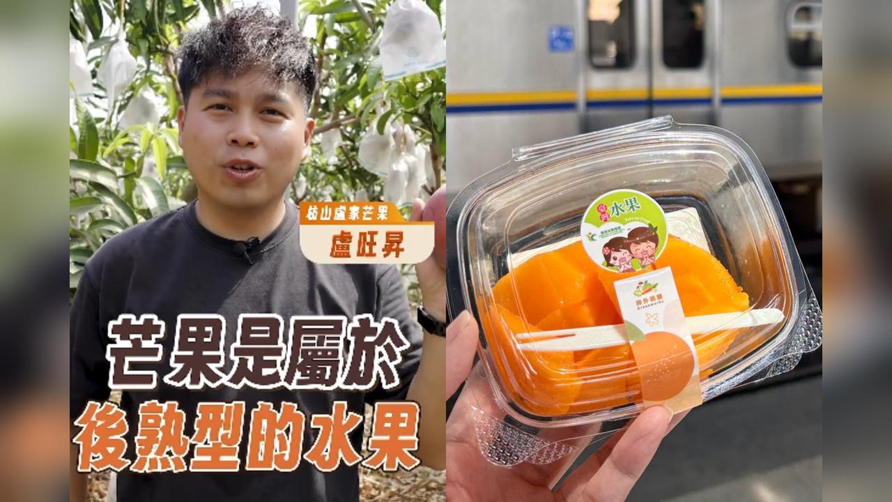 芒果買太多吃不完？農糧署公開「芒果2大保存法」輕鬆延長保存期限