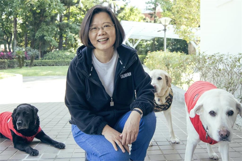 快新聞／3隻愛犬相繼辭世　蔡英文喊話：一起作伴、不要回頭