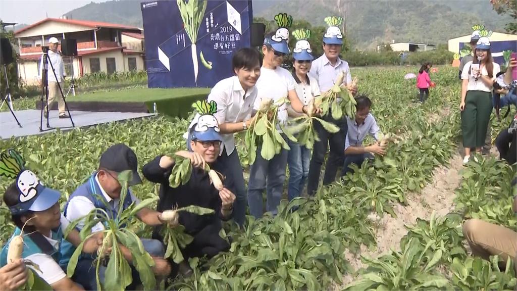 美濃白玉蘿蔔季開鑼！親子體驗拔蘿蔔田園樂