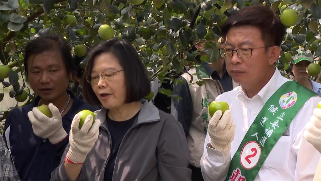 較勁菜販韓國瑜？蔡英文化身最強村姑摘果 