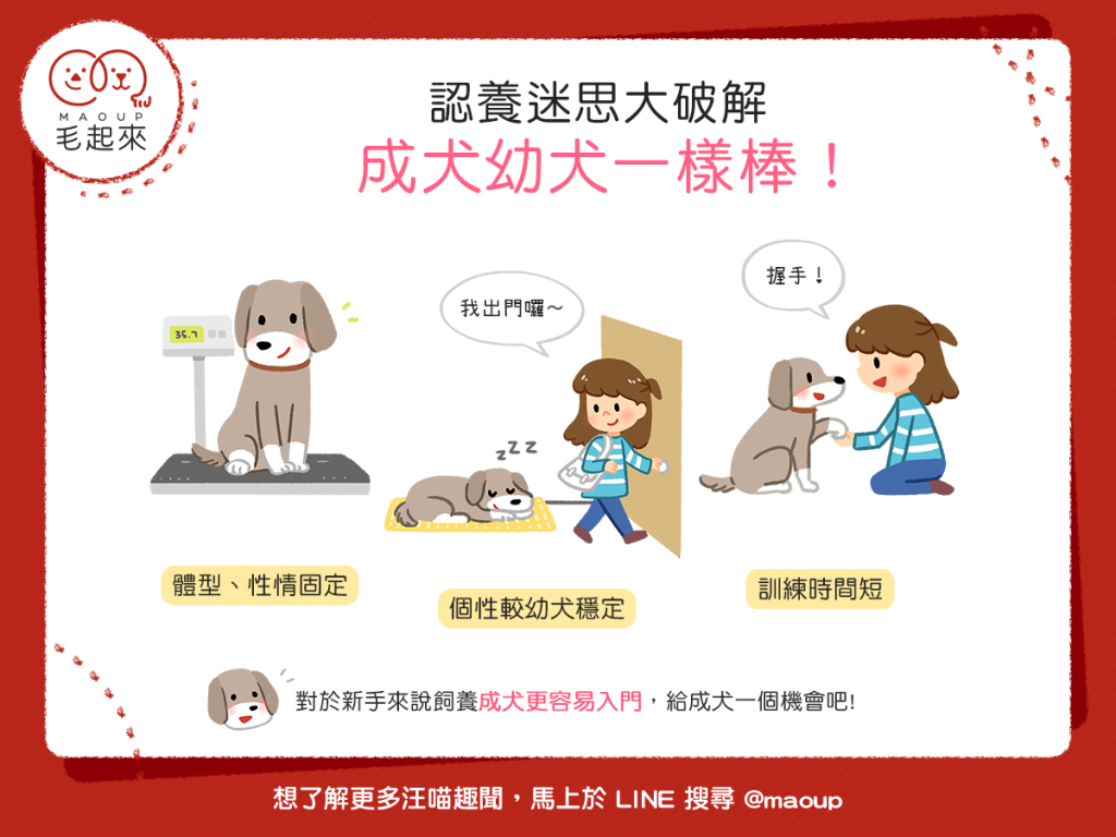 【我要領養汪】從小開始養比較親？成犬幼犬一樣棒！