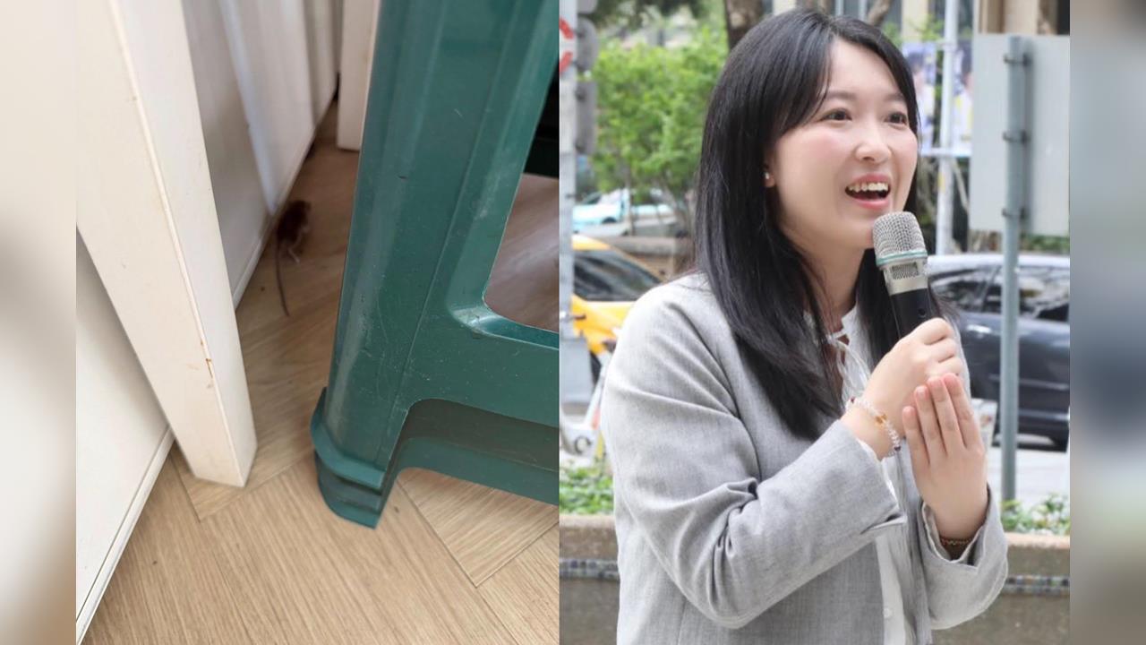 快新聞／鼠輩光天化日闖服務處！新北美女議員嚇壞：我也是「安鼠之亂」受害者