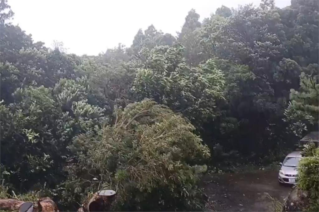 快新聞／珊珊強襲日本九州！　鹿兒島等地交通大亂、民眾急避難