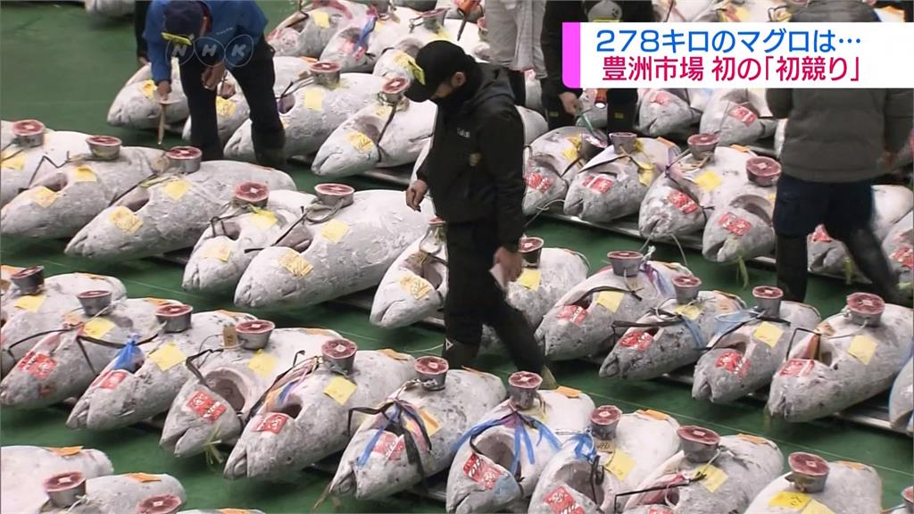 史上最高價！日本豐洲黑鮪魚競標 台幣9千萬成交
