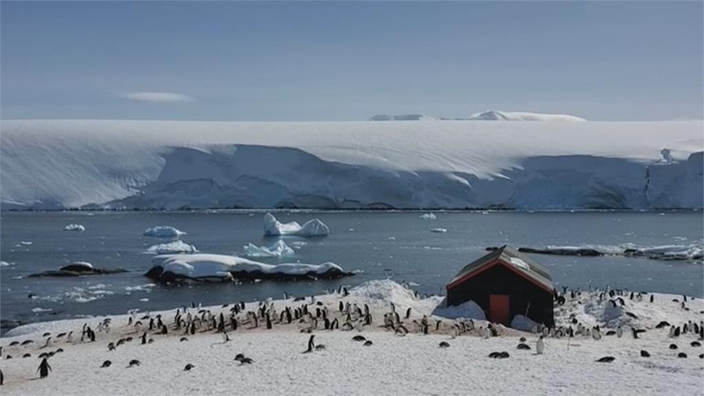 半年寄出9.3萬張明信片　每年數千人搶應徵南極唯一一間郵局「為的是這個」