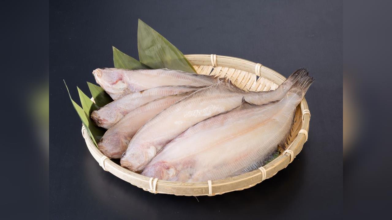 日本干物店爆倒閉潮 漁獲減少、高齡化經營困難