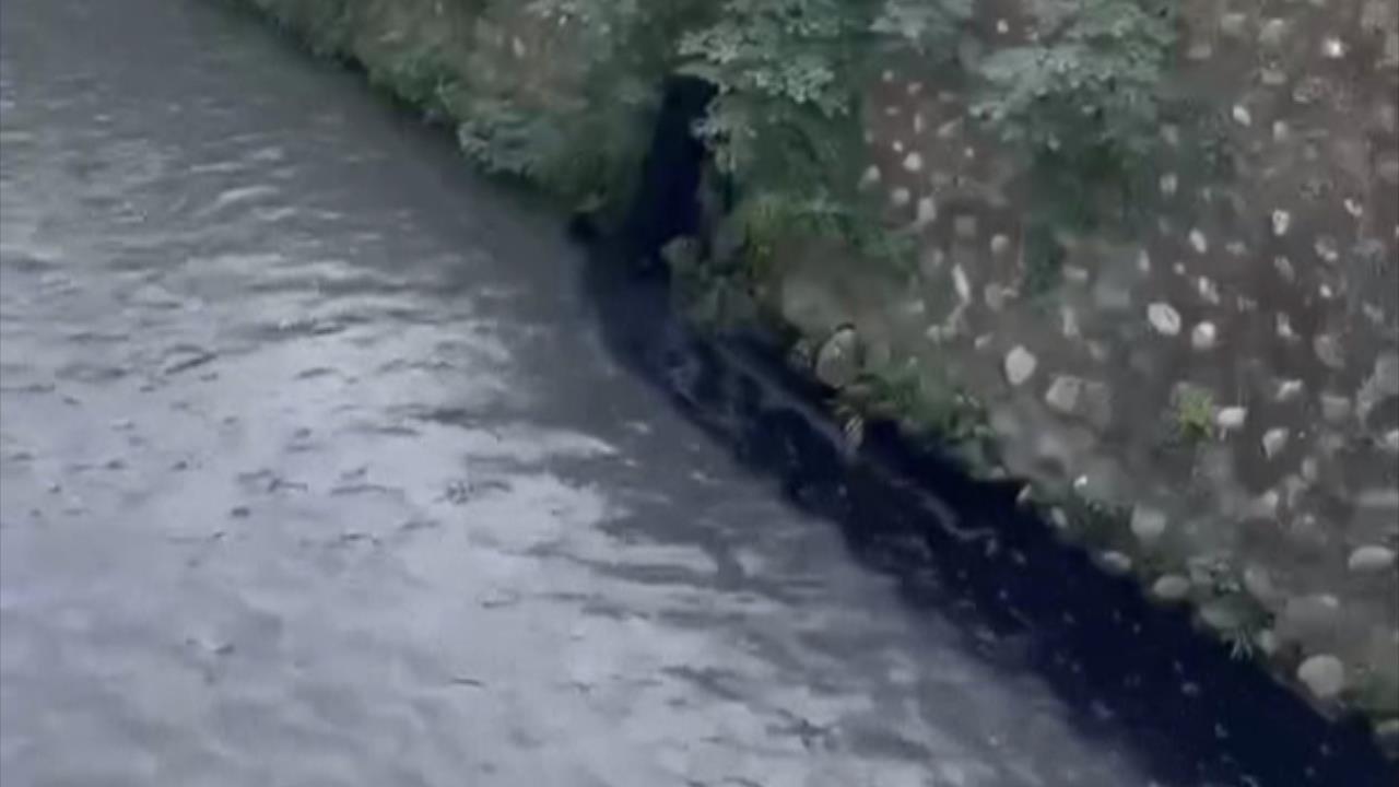 台中梅川排水孔驚見黑色惡臭廢水 網酸「盧媽臭臭鍋」