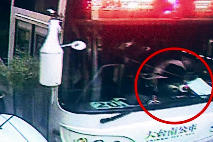 公車駕駛開到昏迷  連撞5車不治
