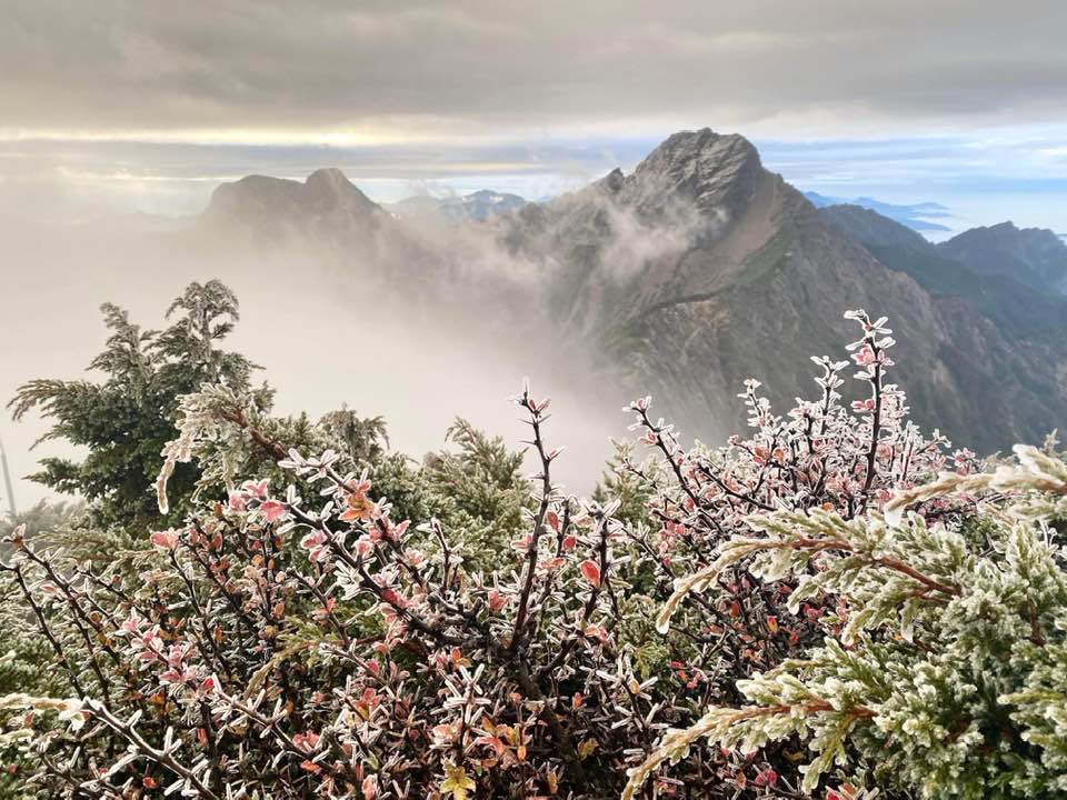 快新聞／寒流罩全台玉山「凍」了！ 鄭明典貼「凍雨」照喊：太美了