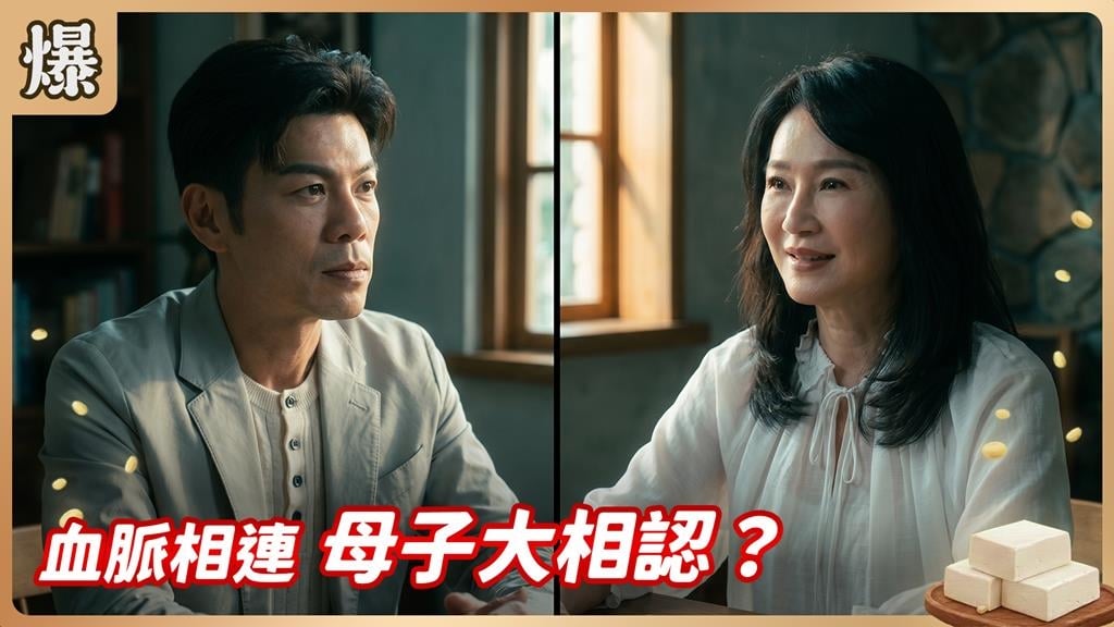 身世謎團連環爆 ！新加坡貴婦的兒子究竟是誰？《豆腐媽媽-EP119精彩片段》