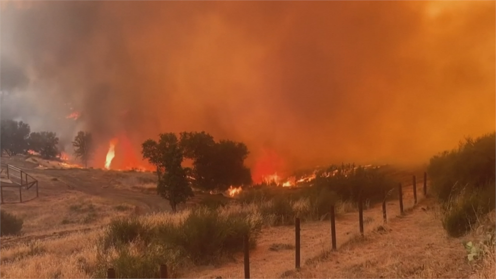 燒掉一個南投縣！ 加州野火肆虐「聯邦級災難 」