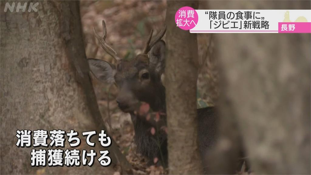 野豬、野鹿破壞農作犯案累累 野味推廣團體向自衛隊推銷特殊料理