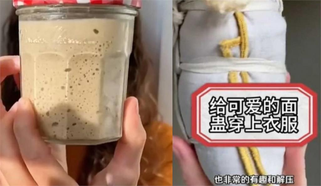 「寵物酵母」爆紅!無壓力陪伴系 中國年輕人新潮飼養:零心理負擔