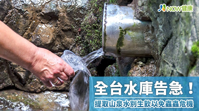 全台鬧水荒！ 提取山泉水別生飲以免蟲蟲危機遭此下場