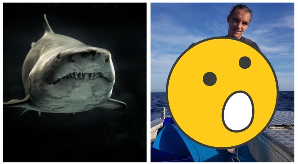 以為釣到肥魚！他捕獲超巨海怪「尖吻鯖鯊」　海中霸王驚剩魚頭