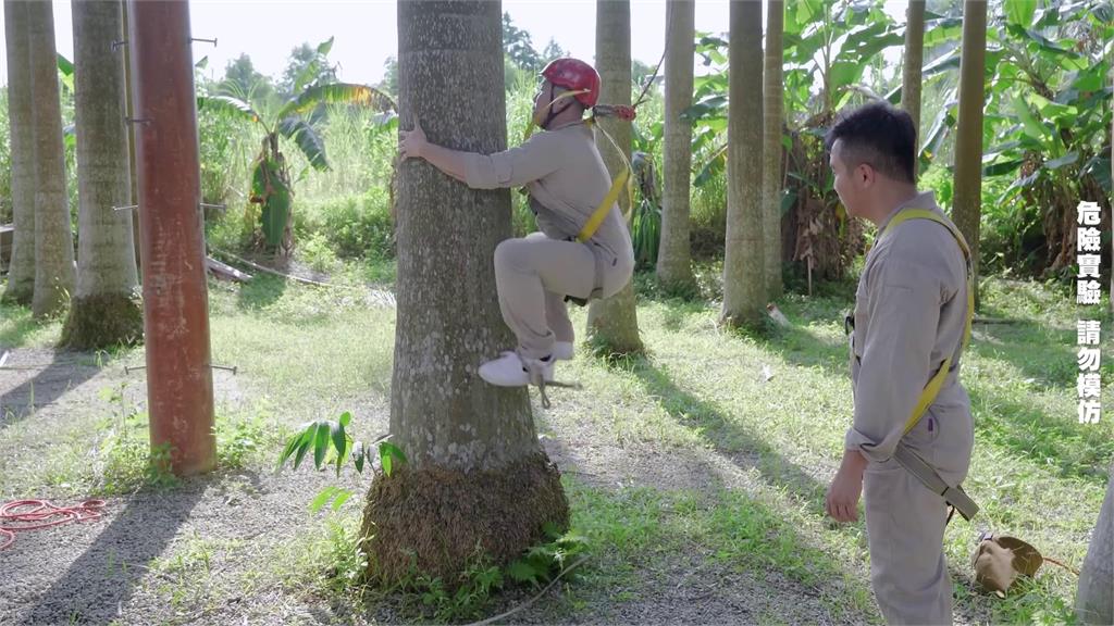 谷阿莫實測麻繩爬樹　「原地變無尾熊卡樹中」直喊：一次就夠