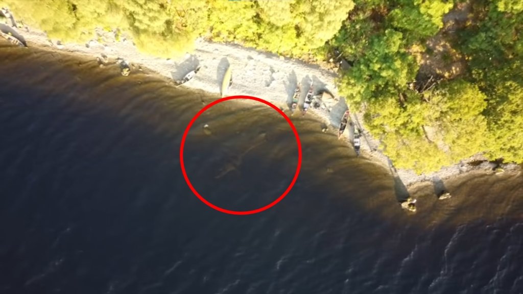 尼斯湖水怪現身？英國男子在尼斯湖露營　透過空拍機拍到「清晰畫面」