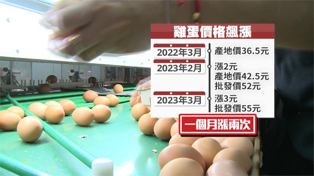 蛋漲！批發價每台斤55元創新高　民眾無奈：乾脆自己養雞