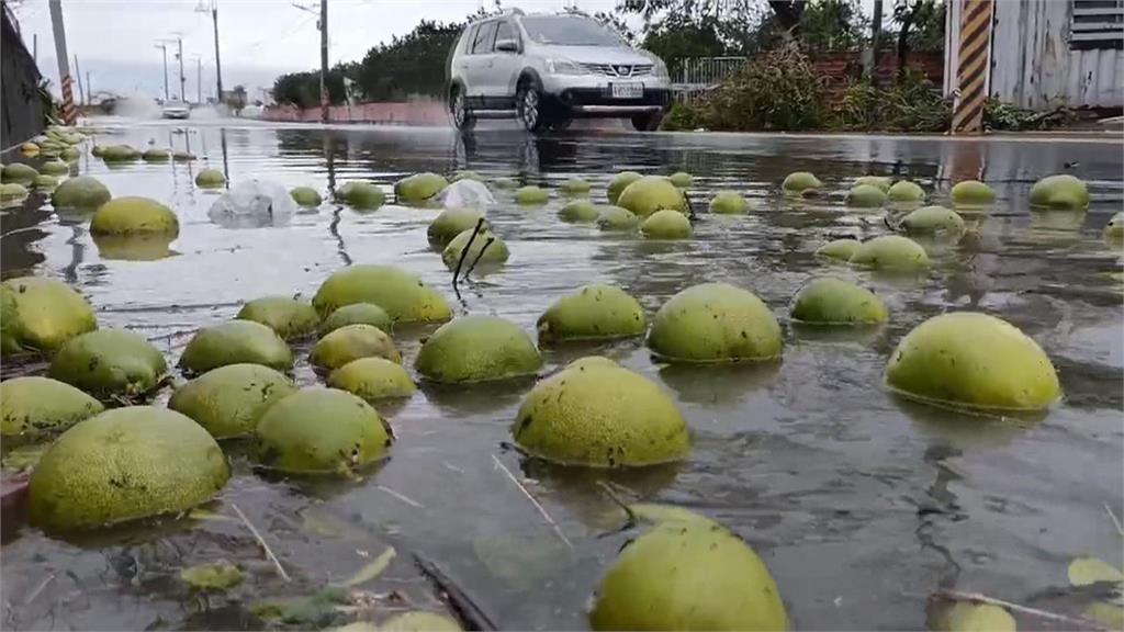 快新聞／豪雨重創！農業部公告災損合併救助　「3縣市」全農產品項皆可申請