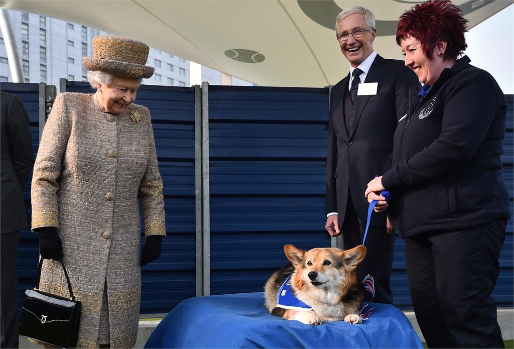 快新聞／知道女王最愛柯基　英國民眾遛愛犬赴溫莎城堡悼念