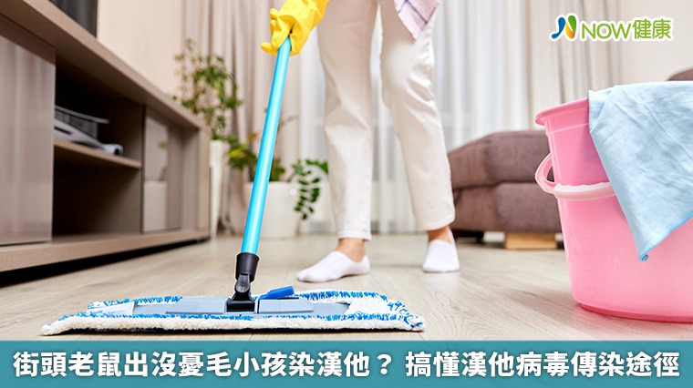 街頭老鼠出沒憂毛小孩染漢他？ 搞懂漢他病毒傳染途徑