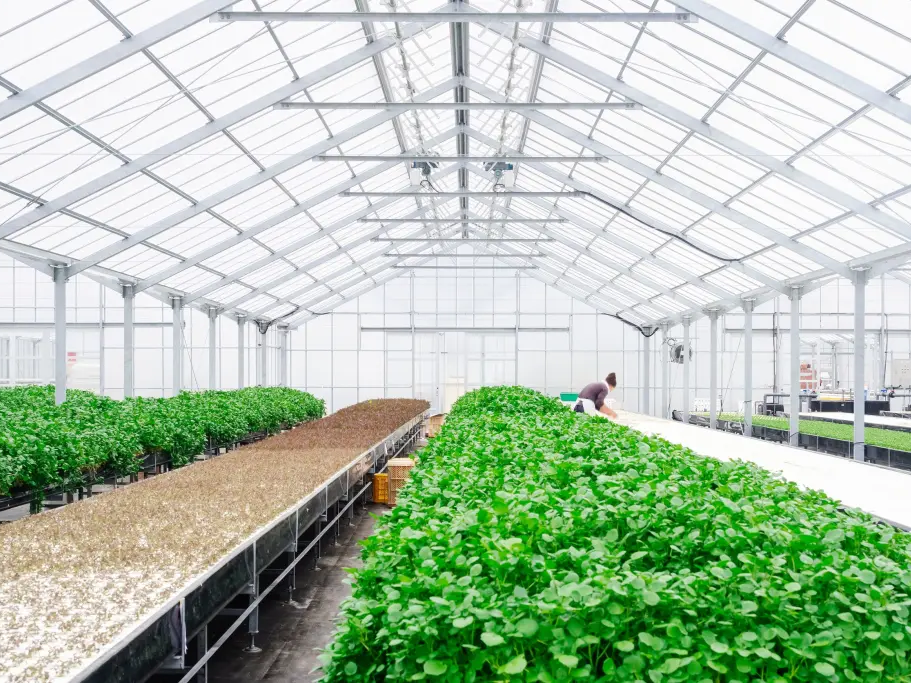 韓國政府砸千億韓元打造AI農產平台 即時價格與供需分析提高市場透明度