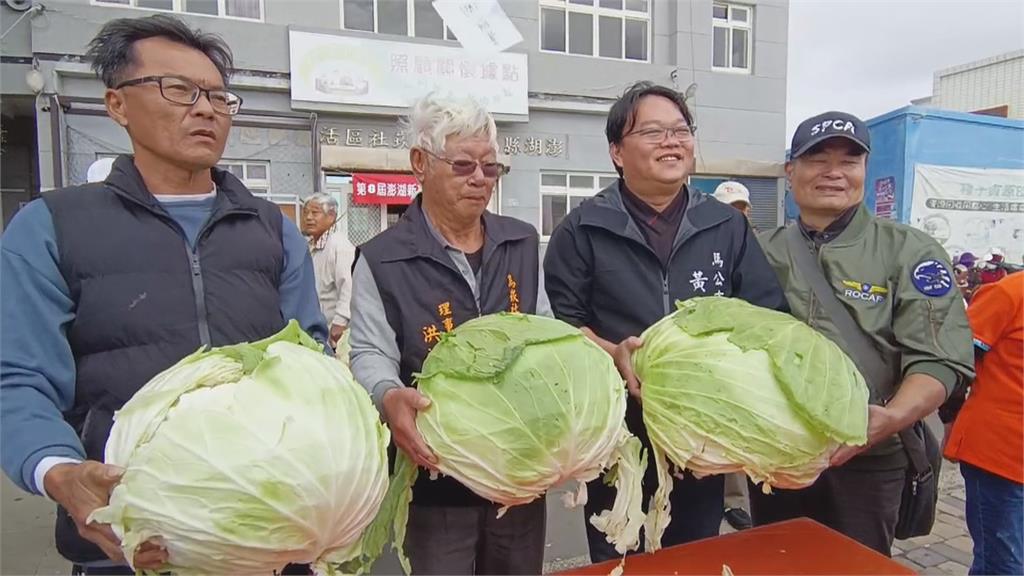 第八屆高麗菜王比賽澎湖登場　冠軍以18台斤巨大高麗菜勝出
