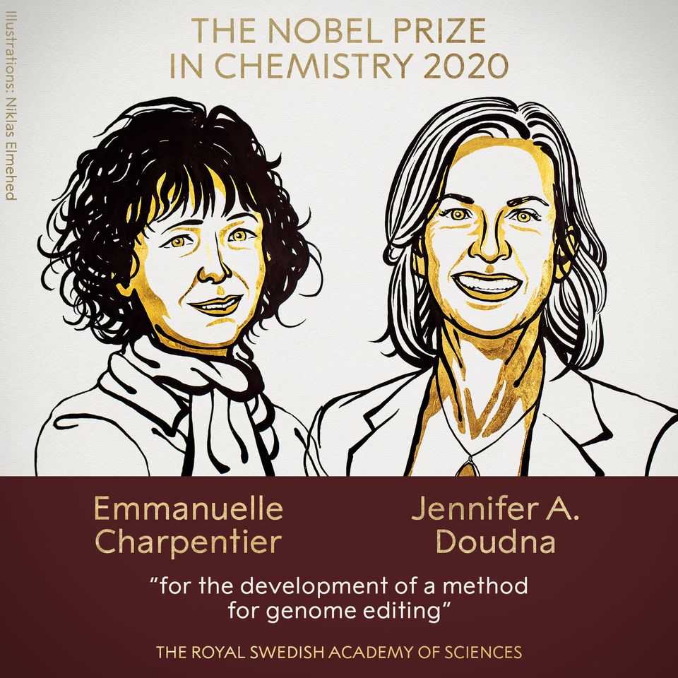 快新聞／諾貝爾化學獎出爐 英美2學者研究研發出基因組編輯獲得殊榮