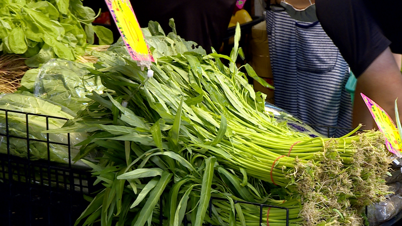 菜價直直落 農民心酸嘆:比科學麵不值錢