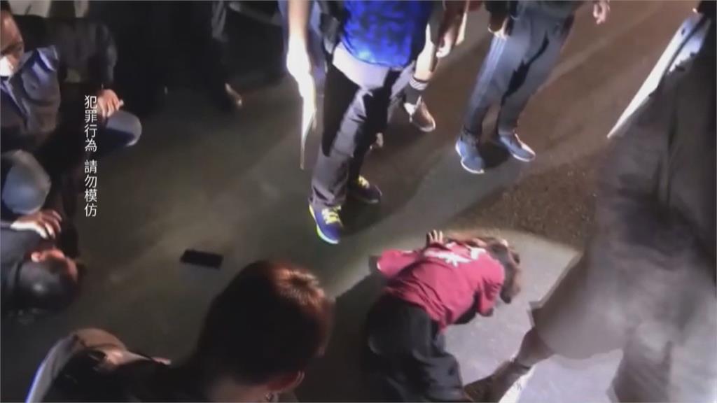 隨身攜帶鸚鵡提防警方　女毒販「以茶包毒」掩人耳目仍落網